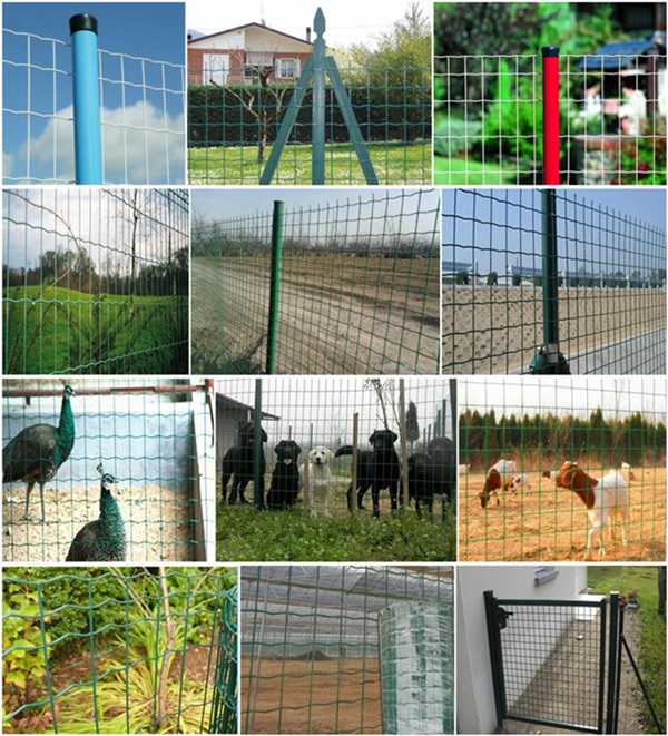 Wholesale Expanded Metal Mesh for Plaster Applications and Construction Needs