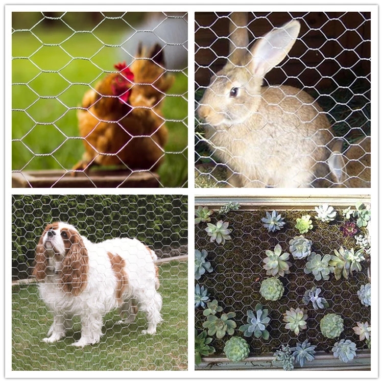 ODM Galvanized Expanded Metal Mesh | Durable and Versatile Solutions