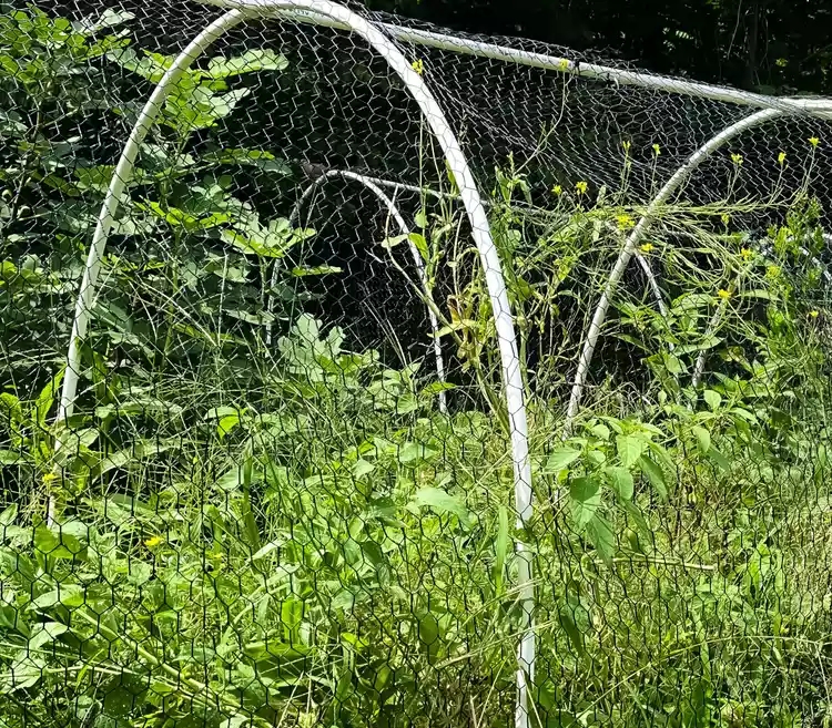 fiberglass insect screen quotes fiberglass insect screen quotes