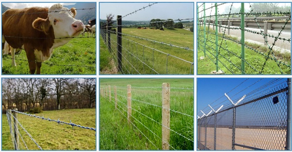 discount goat fencing