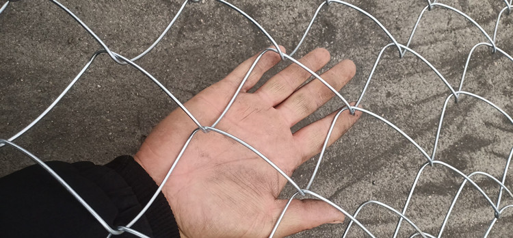 galvanized iron mosquito window screen quotes