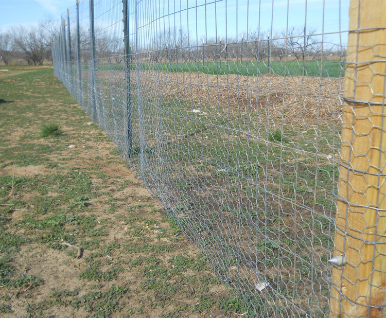 Steel Welded Wire Mesh Panels for Construction and Industrial Applications