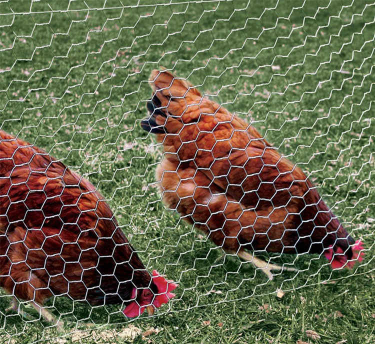 3/8 inch welded wire mesh factories 3/8 inch welded wire mesh factories