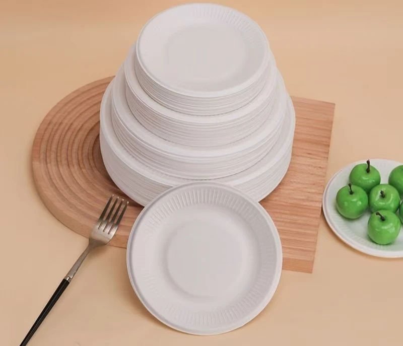 White Bagasse Round Plate