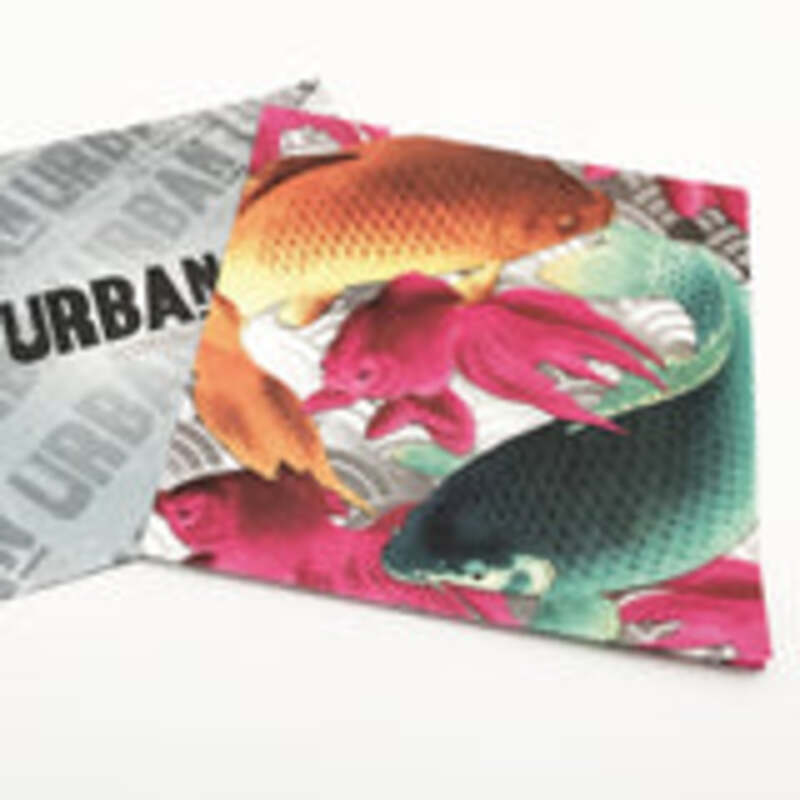 Innovative Solutions for Efficient Production and Design of Oyster Tray Manufacturing Facilities