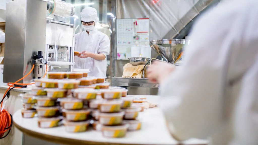 Eco-Friendly Wooden Utensils Providers for Sustainable Dining Solutions and High-Quality Kitchenware