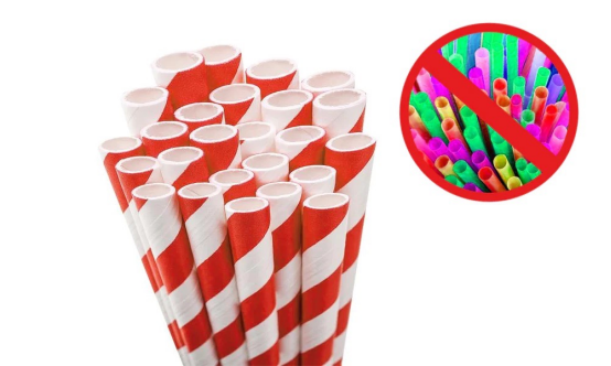 Sustainable Solutions for Single-Use Food Packaging in Modern Dining Environments